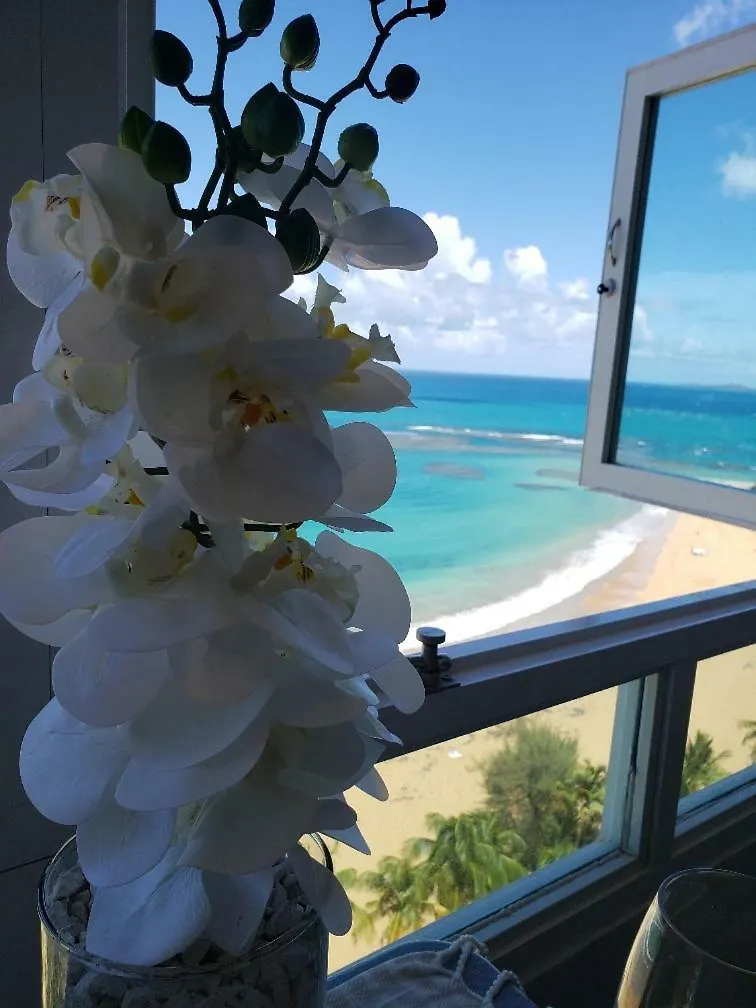 Breezy Beachfront Property With View Of Paradise 卢基约 公寓